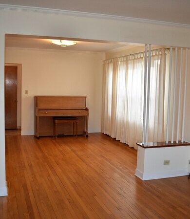 231 N Larch Ave, Elmhurst, IL 60126 - photo 4