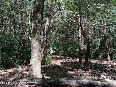 0 Creek Dr, Kunkletown, PA 18058 - photo 2