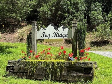 0 Ivy Ridge unit 26041961, Sylva, NC 28779 - photo 6