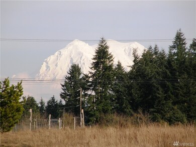 10120 Grove Rd SE, Yelm, WA 98597 - photo 2