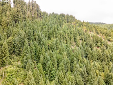 0 Sharps Creek Rd, Dorena, OR 97434 - photo 5