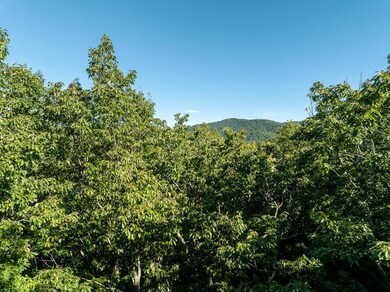 Lot 13 Wilderness Way, Ellijay, GA 30536 - photo 4