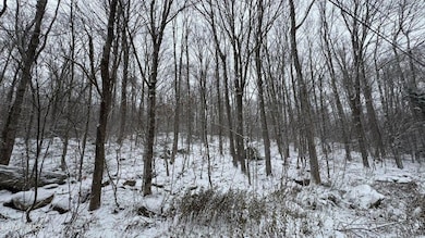 0 Bergrucken Ln, Readsboro, VT 05350 - photo 4