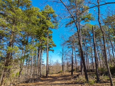 Lot C Malberg Rd, Cabool, MO 65689 - photo 7