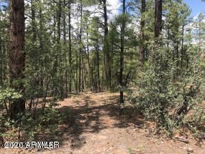 360 Aspen Way unit 207, Show Low, AZ 85901 - photo 5