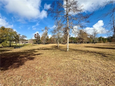 0 Hardwater Lake Rd, Pollock, LA 71467 - photo 7