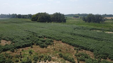 4994 Freeman Rd, Blakely, GA 39823 - photo 5