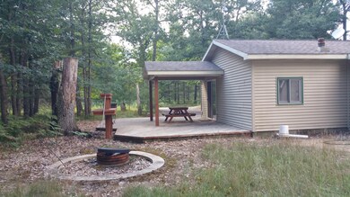 9790 S James Rd, Baldwin, MI 49304 - photo 6