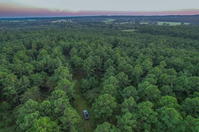 0 E S Sh 155, Frankston, TX 75763 - photo 2