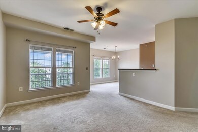 22611 Blue Elder Terrace unit 302, Ashburn, VA 20148 - photo 4