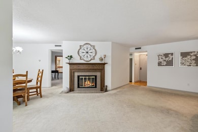 14601 Atrium Way unit 329, Minnetonka, MN 55345 - photo 7