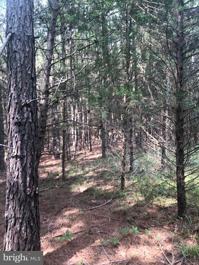 14686 Dry Bridge Rd, Ruther Glen, VA 22546 - photo 5