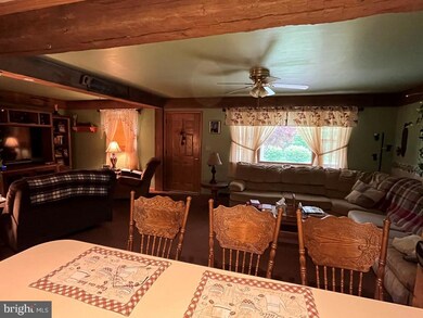 455 Pine Crest Dr, Mc Clure, PA 17841 - photo 6