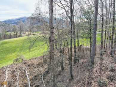 0 Waterfall Dr unit LOT G1 10436783, Clayton, GA 30525 - photo 4