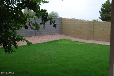 back yard