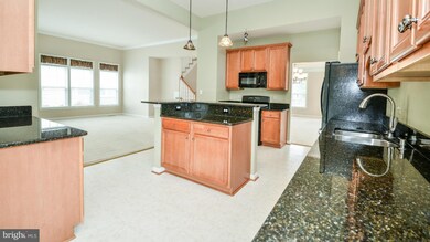 25021 Owl Creek Dr, Stone Ridge, VA 20105 - photo 7