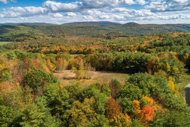 0 Deer Ridge Rd unit 202030495, Chatham, NY 12060 - photo 7