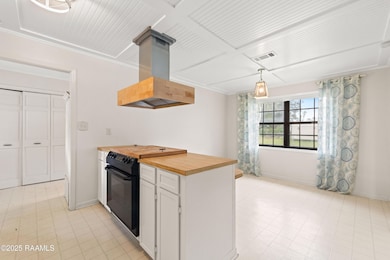 7212 W Wildcat Rd, Abbeville, LA 70510 - photo 6