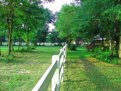 399 Wakulla Arran Rd, Crawfordville, FL 32327 - photo 6