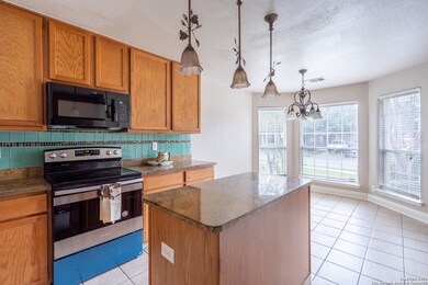 4119 Ogelthorpe Oak, San Antonio, TX 78223 - photo 6