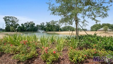 21272 Pecan Grove Dr, Zachary, LA 70791 - photo 2