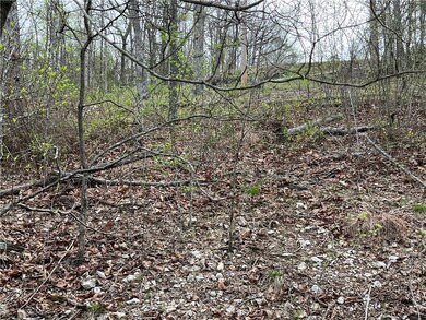 6 Little Dr, Bella Vista, AR 72715 - photo 6