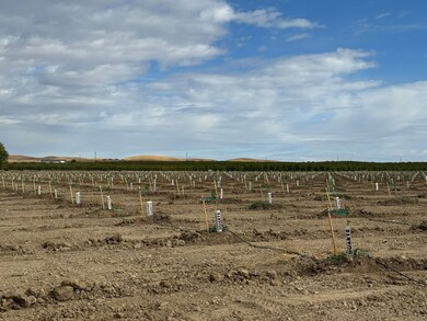 28815 County Road 12a, Esparto, CA 95627 - photo 5