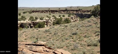 IMG_0498