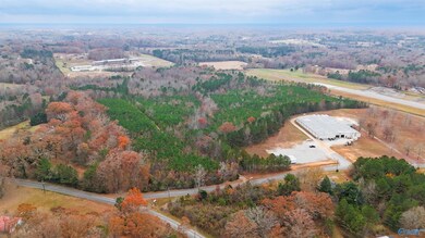 24 Acres N Star Dr, Haleyville, AL 35565 - photo 6