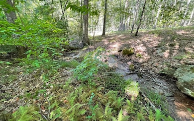 Additional View
