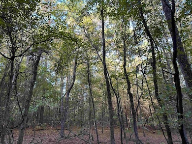 TBD County Road 1707, Jacksonville, TX 75766 - photo 7