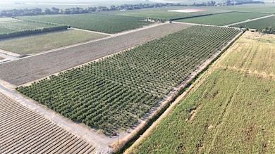 787 W Sutter Island Cross Rd, Courtland, CA 95615 - photo 4