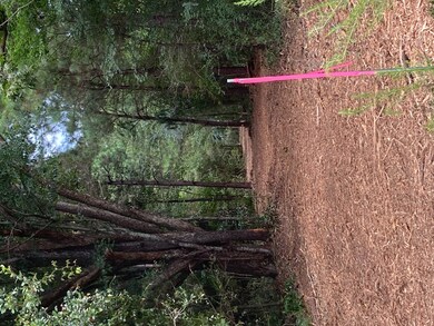 0 Sandspur Loop, Baconton, GA 31716 - photo 5