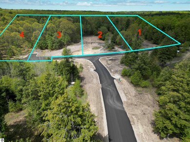 4735 Leaning Birch Dr unit 1, Traverse City, MI 49685 - photo 2