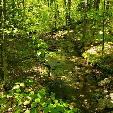 Bull Run River 2