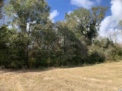 B tract State Highway 65 unit Lot 2, Conway, SC 29526 - photo 5