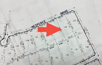 Lot 128 Nezperce Dr, Alford, FL 32420 - photo 4