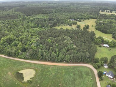 38 Bridges Rd, Carlton, GA 30627 - photo 3