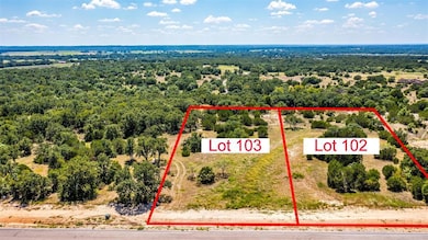 1216 Eagles Bluff Dr, Weatherford, TX 76087 - photo 3