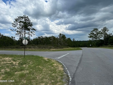 0000 Tippet Dr, Chipley, FL 32428 - photo 2
