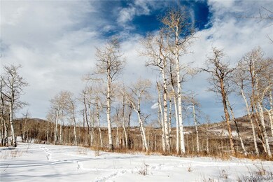 Lot 6 has varied terrain with level park-like area