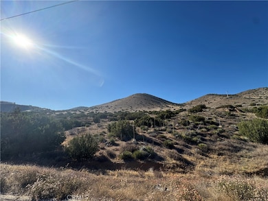 0 Vic Valleysage Rd Tuthil unit SR25171584, Agua Dulce, CA 91350 - photo 2