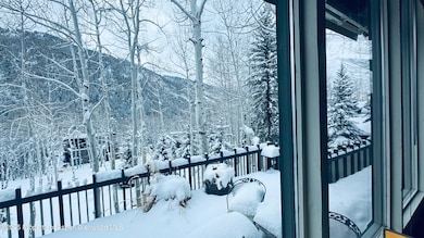 302 Roaring Fork Dr, Aspen, CO 81611 - photo 2