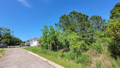 Lot 25 Pelican looking North