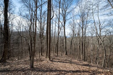 Long range mountain views from the home and better