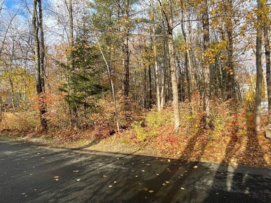 4 Running Brook 2