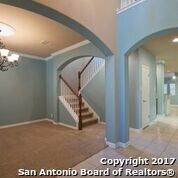 10626 Larch Grove Ct, Helotes, TX 78023 - photo 3