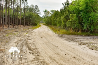 0 Lindsay Rd, Round O, SC 29474 - photo 7