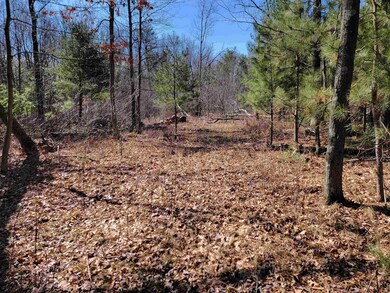 0000 Fremont Ave, Byron, WI 54660 - photo 4