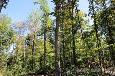 7805 S County Rd 800 W, Commiskey, IN 47227 - photo 7